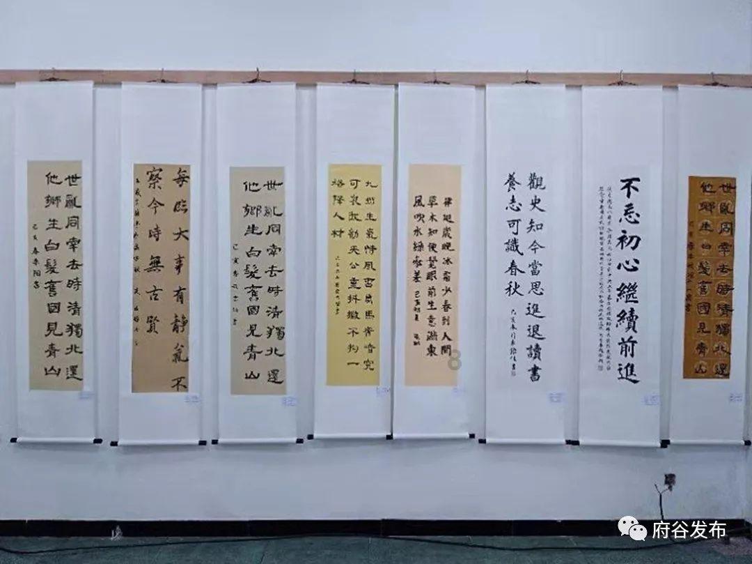 救援狗与猫